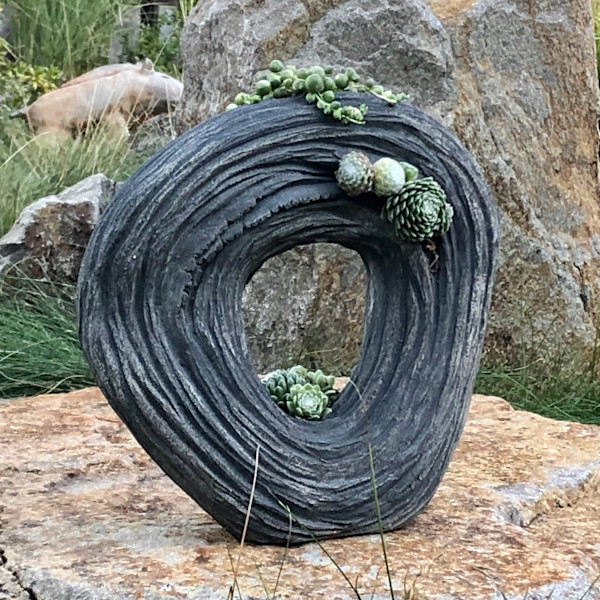 Old Grove II by Emil Yanos