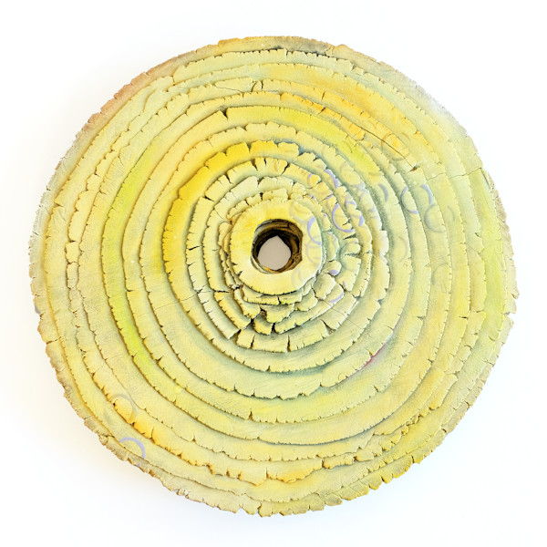 Magnificent Mustard by Emil Yanos