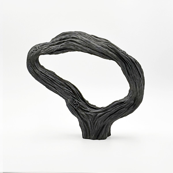 Old Grove VIII by Emil Yanos, Image 1.