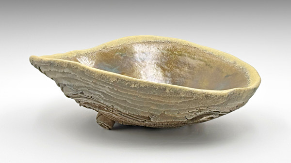 Storm Bowl VI by Emil Yanos