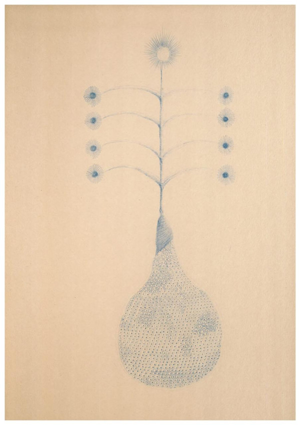 Planta Azul 3/10 by Jose Mejía Gomez