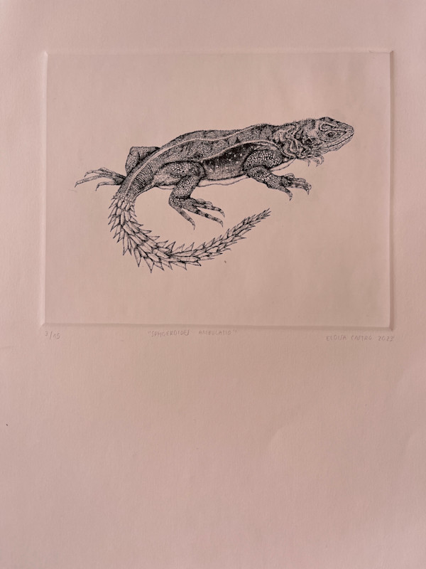Iguana Cola de piña by Eloisa Castro