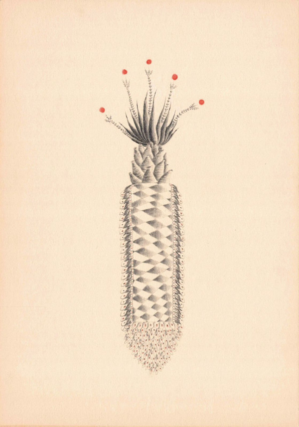 Planta y ajedrez 2/10 by Jose Mejía Gomez