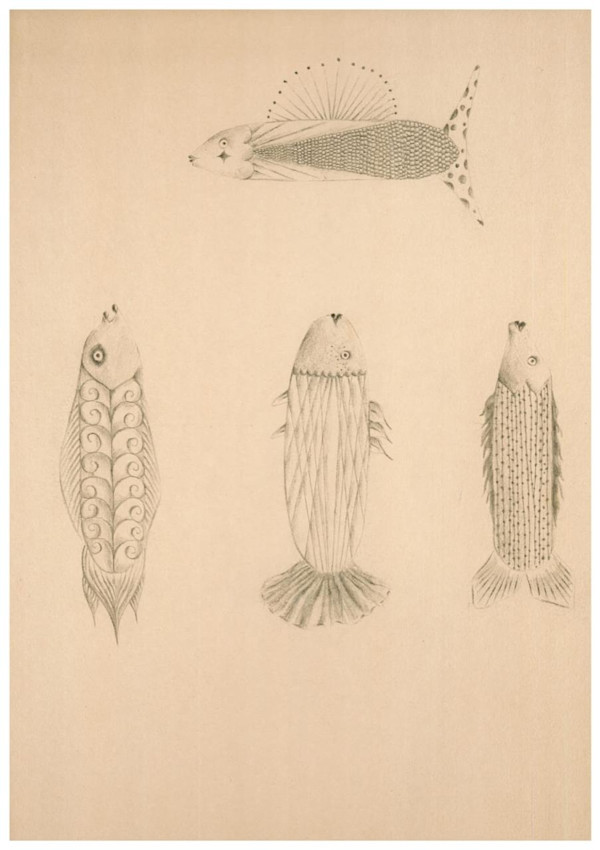 Colección de peces 4/10 by Jose Mejía Gomez
