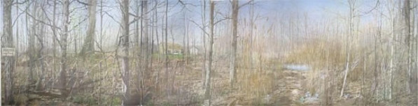 Spring Woods by Adam Cvijanovic