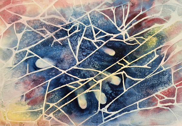 Trapped by Stacy Hilton Klutzke, Image 1.
