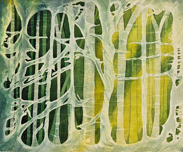 Shrouded by Stacy Hilton Klutzke, Image 1.