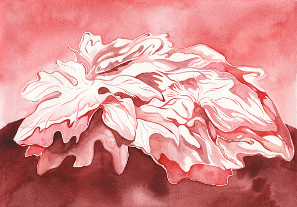 Fallen Leaves in Crimson by Emma Santos