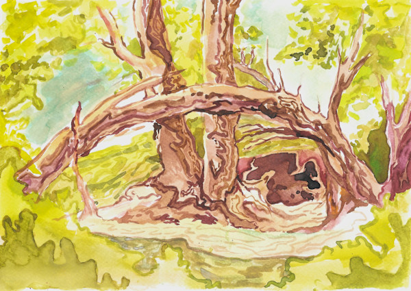 Rio Alentejano by Emma Santos