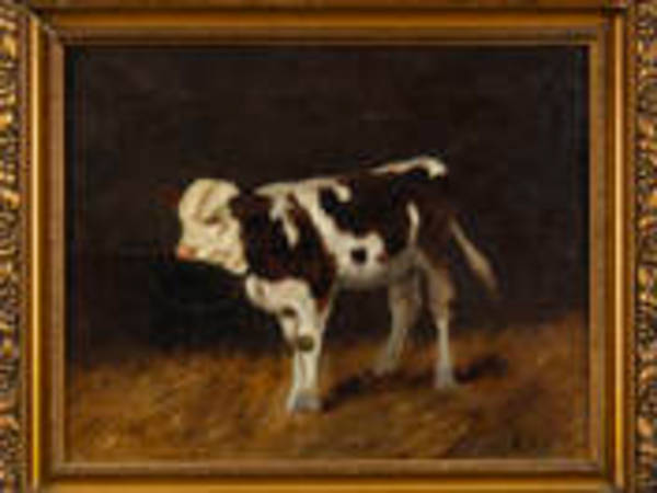 Boci by Illés Aladár Edvi