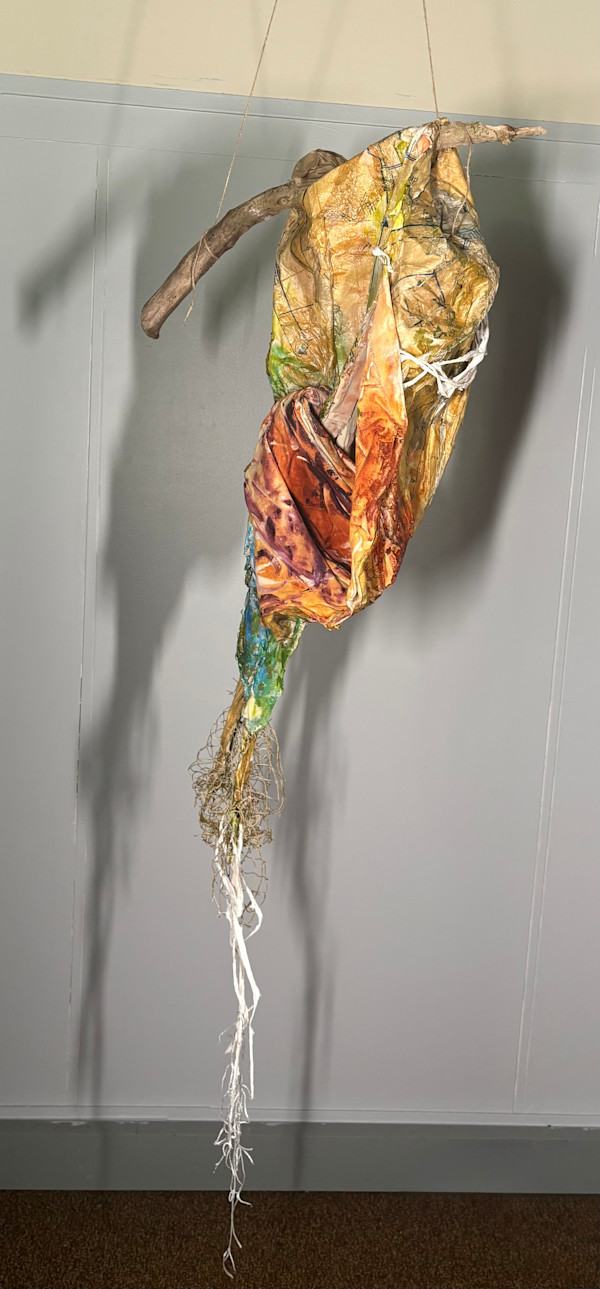 A History of Twists by Kathleen Ann Donovan, Image 1.