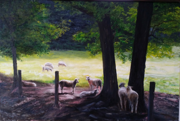 Backyard Sheep, Sinks Grove by Judith Bair