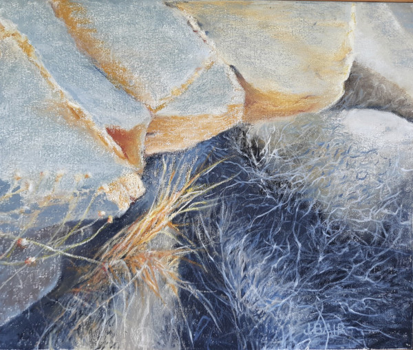 Desert # 12: Sunstruck by Judith Bair