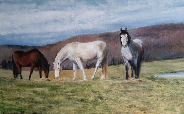 Three Horses, Davis Stuart Road by Judith Bair