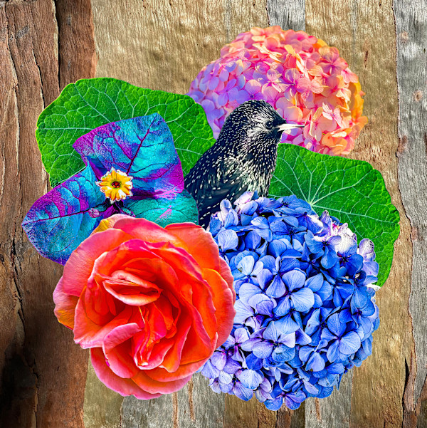 Untitled by Dinah Kumbera, Image 5.