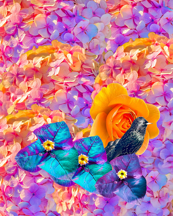 Untitled by Dinah Kumbera, Image 1.