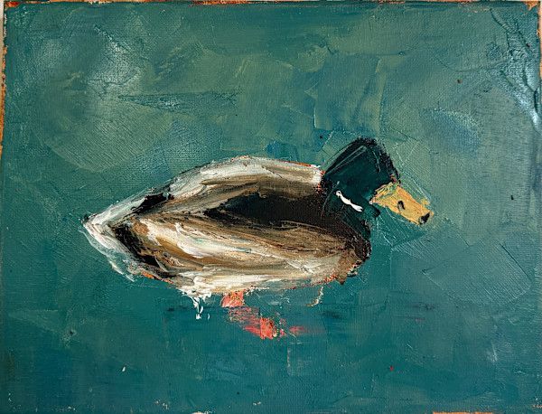 Madrid Mallard by Olivia Sanchez