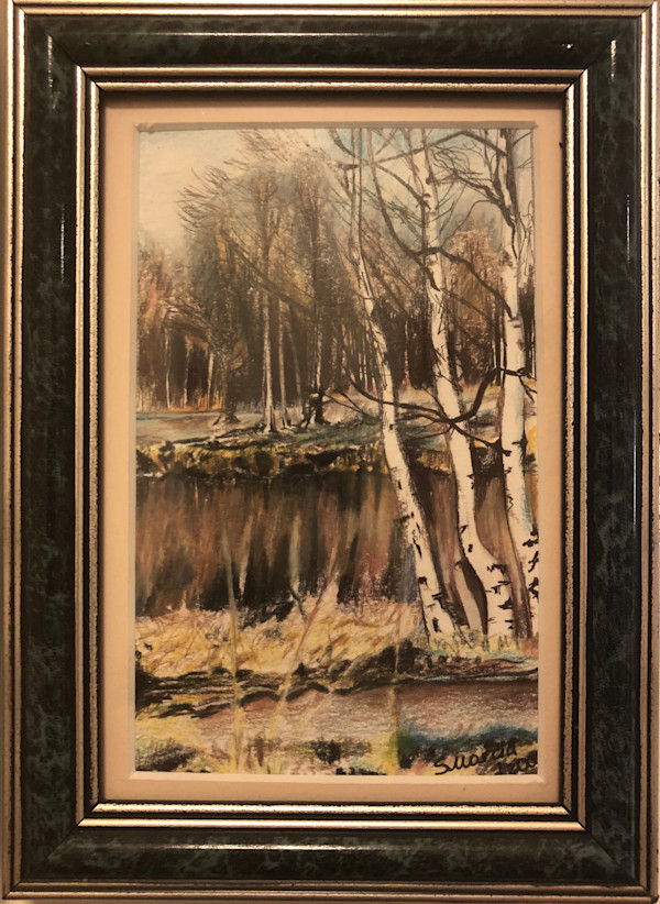 Birch Trees by Masha Schwartz Art