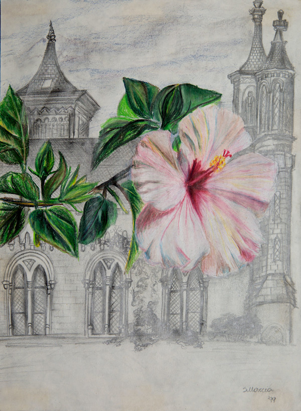 Smithsonian by Masha Schwartz Art