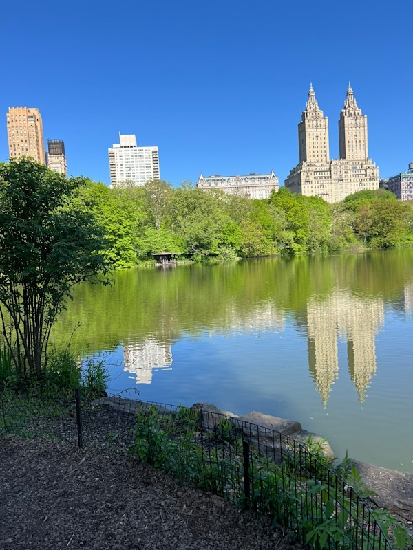 Central Park Lake by Marie Louise Bosin