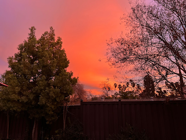 2024 Fire Season, Redlands, California by Marie Louise Bosin