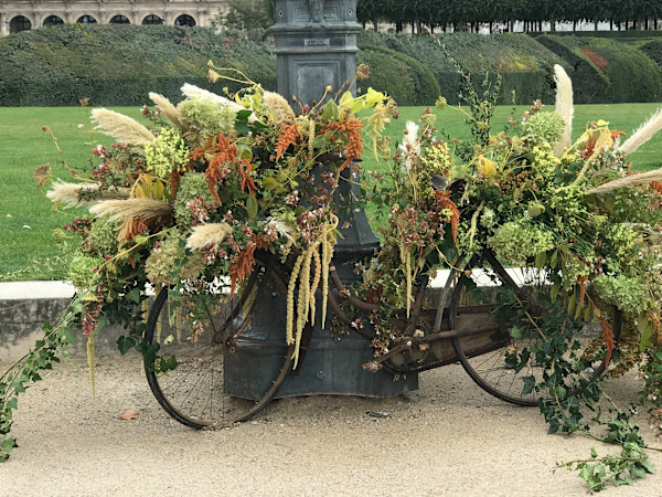 Paris, Bicycle Flower Shop by Marie Louise Bosin