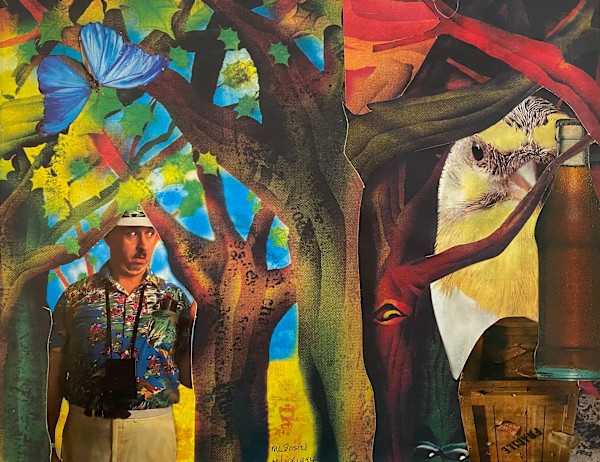 Photograph of Hiding in the Forest-Collage by Marie Louise Bosin, MA