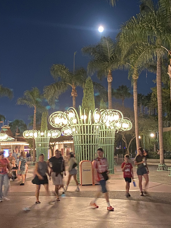 Full Moon at Disneyland by Marie Louise Bosin, MA