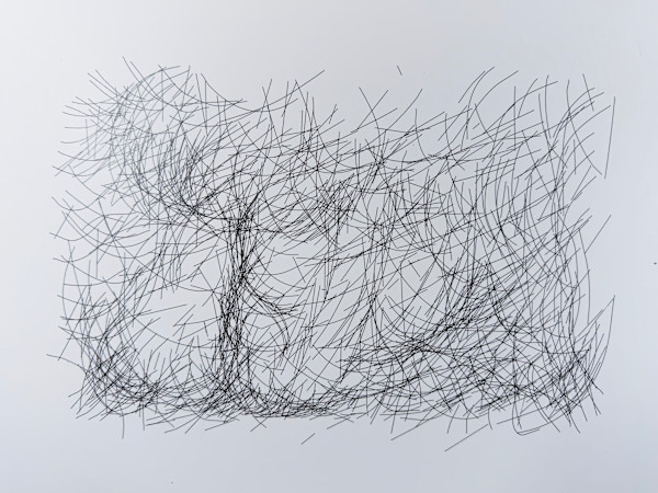 Pelo by Paolo Durandetto