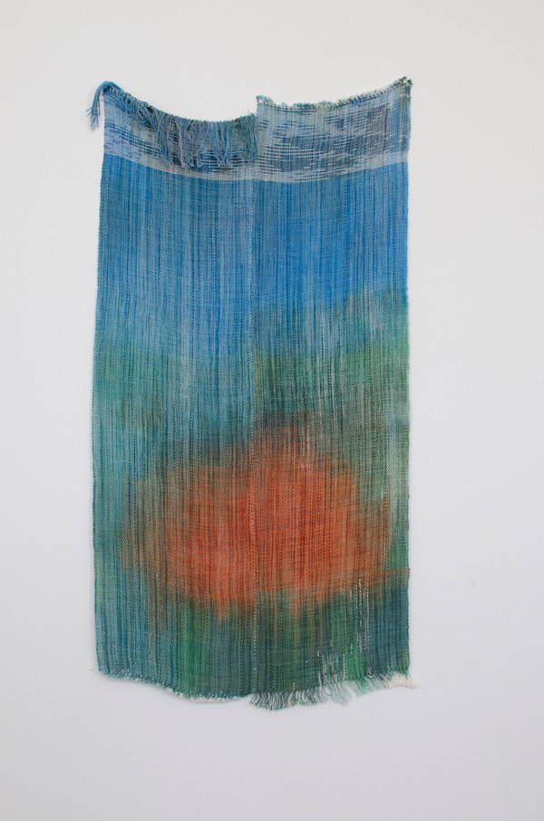 Lions Mane by Colleen McCubbin Stepanic, Image 1.