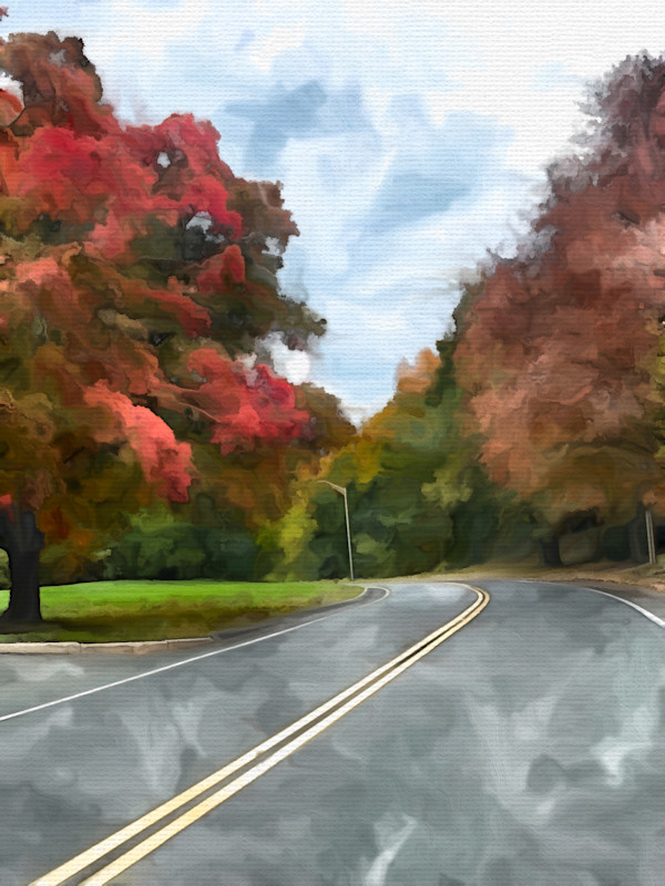 Curve Through a Painted Canopy by Daniel Butler