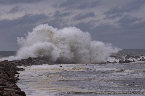 Waves #1 by Daniel Butler