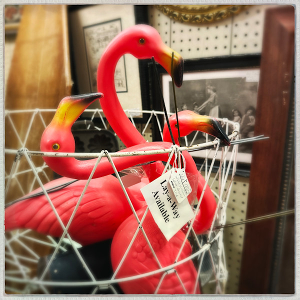 Layaway Available by Sherry Ross