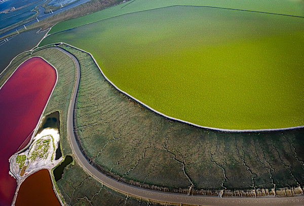 From Sky to Salt Aerial XII by Barbara Boissevain