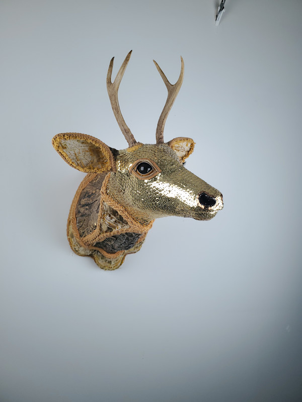 Tin by Emily Maddigan