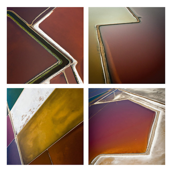 Salt Pond Grid II by Barbara Boissevain