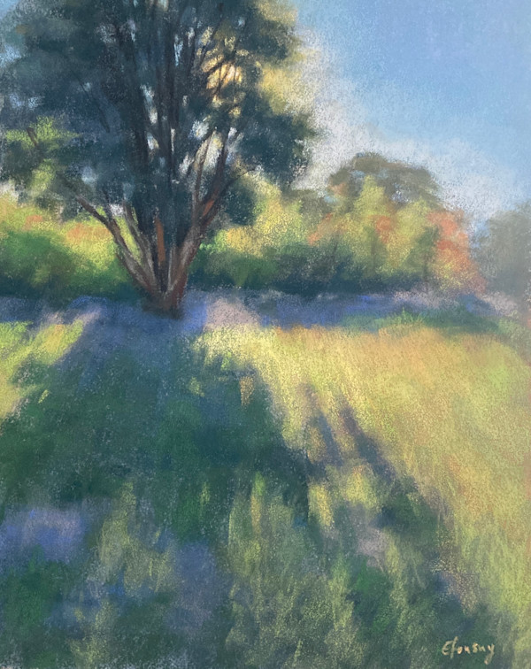 Backlit Tree by Emmanuelle Fonsny