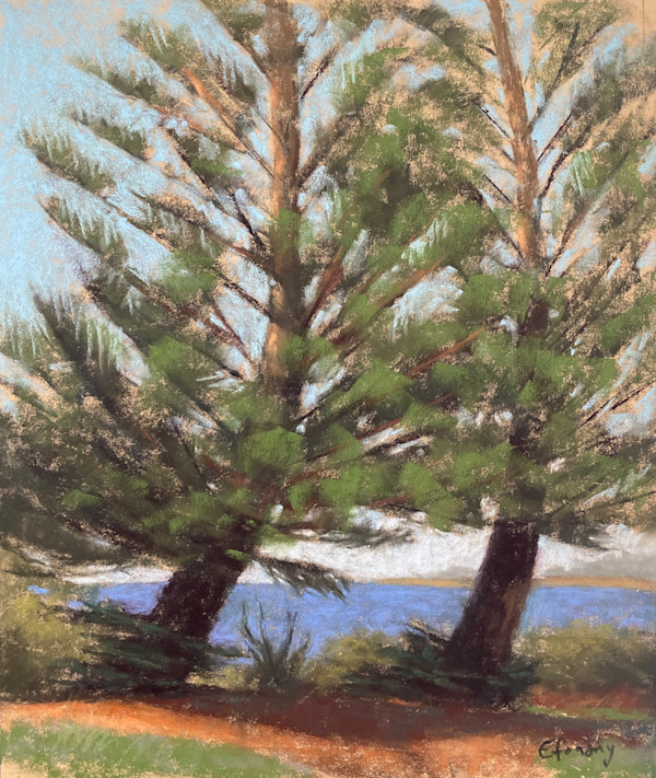 Bendy Trees at Kyeemagh by Emmanuelle Fonsny, Image 1.