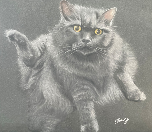 Berlioz Interrupted by Emmanuelle Fonsny