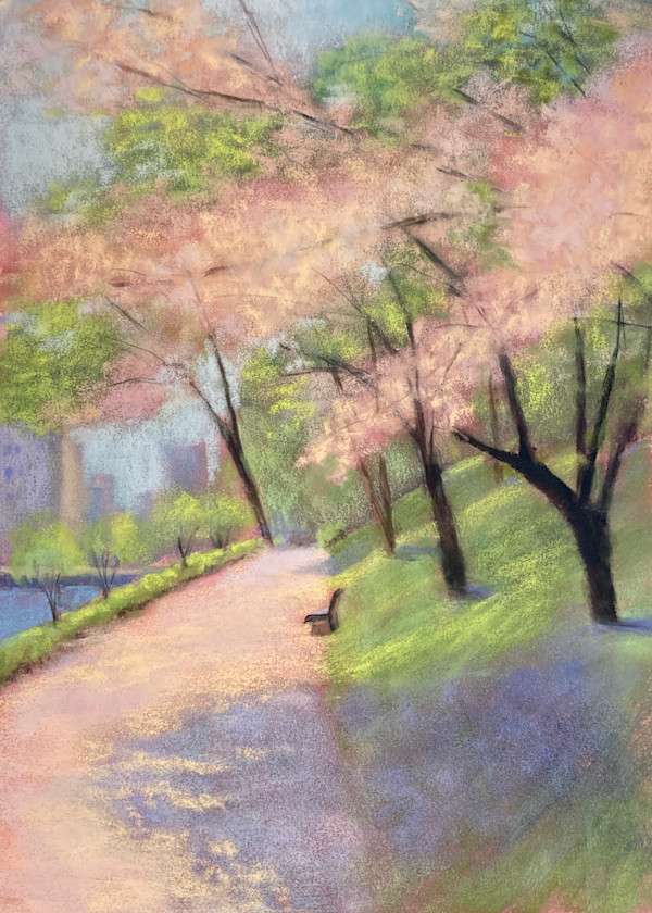 Cherry Blossoms by Emmanuelle Fonsny