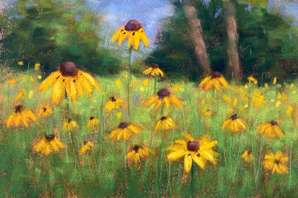 Field of Yellow Flowers by Emmanuelle Fonsny