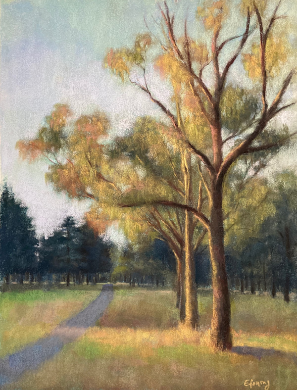 Golden Hour in Kambah by Emmanuelle Fonsny