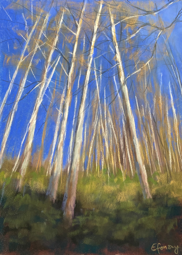 Gum Trees in Gunderman by Emmanuelle Fonsny