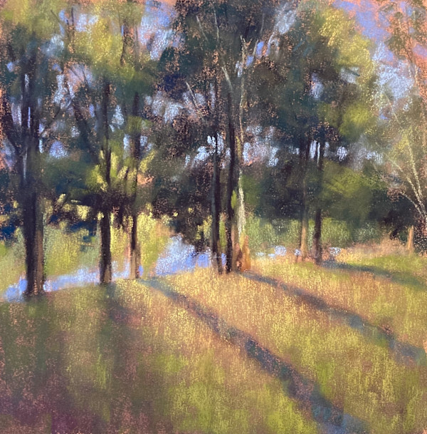 Light Through the Trees by Emmanuelle Fonsny