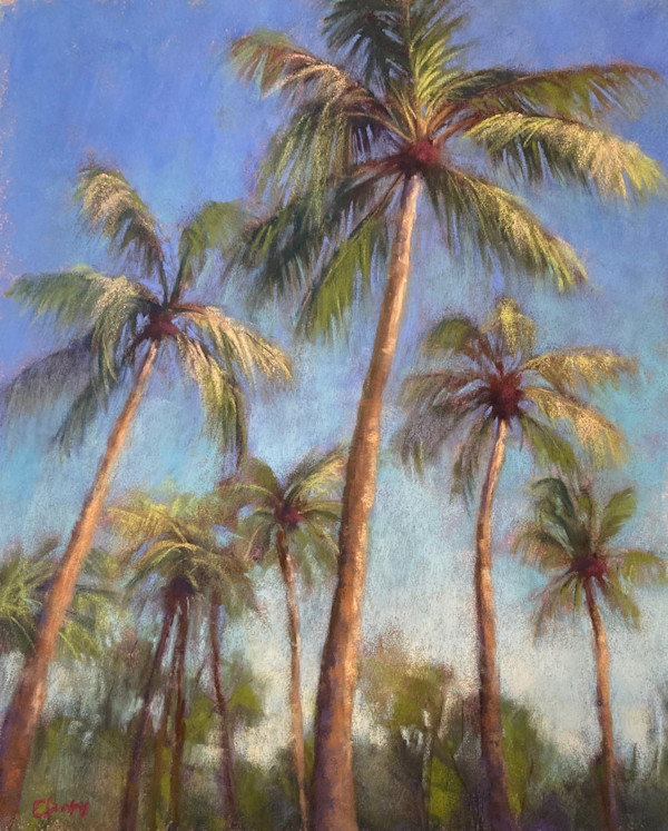 Palm Trees of Darwin by Emmanuelle Fonsny