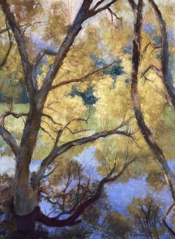 Reflected Trees and Sky by Emmanuelle Fonsny