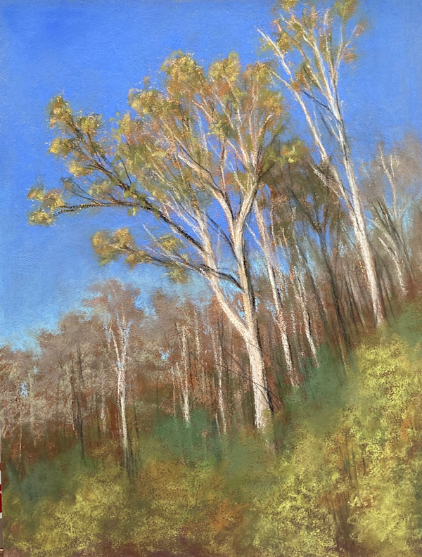Sunlit Gum Trees by Emmanuelle Fonsny