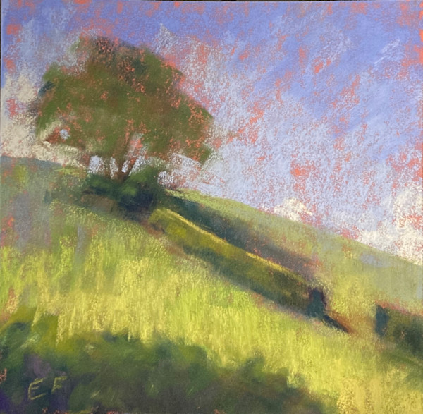 Tree on a Hill by Emmanuelle Fonsny