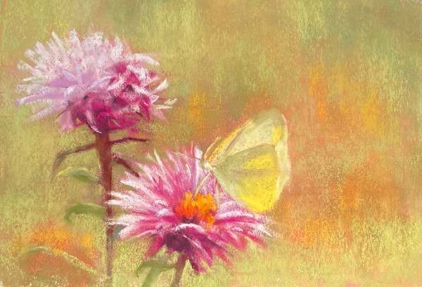 Visit of the Butterfly by Emmanuelle Fonsny