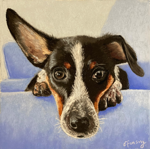 What Did You Say!? by Emmanuelle Fonsny